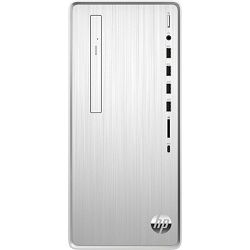 HP Pavilion TP01-0008ng Natural Silver