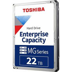 Toshiba 22 TB 3,5