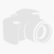 Asrock Radeon RX 6600 Challenger D 8GB, 8GB GDDR6